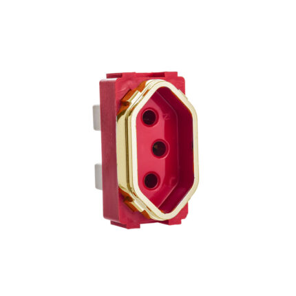 Modulo Tom 2p+t Novara Vm/Gold Ref: 1200/166 10A - P