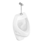 Mictorio Celite Branco